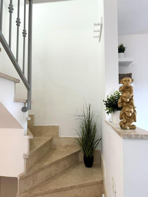 Casa Vacanza Elislor Apartments فيوميتشينو المظهر الخارجي الصورة